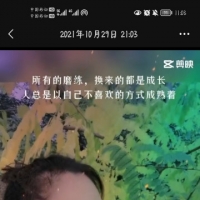 河东欣宇